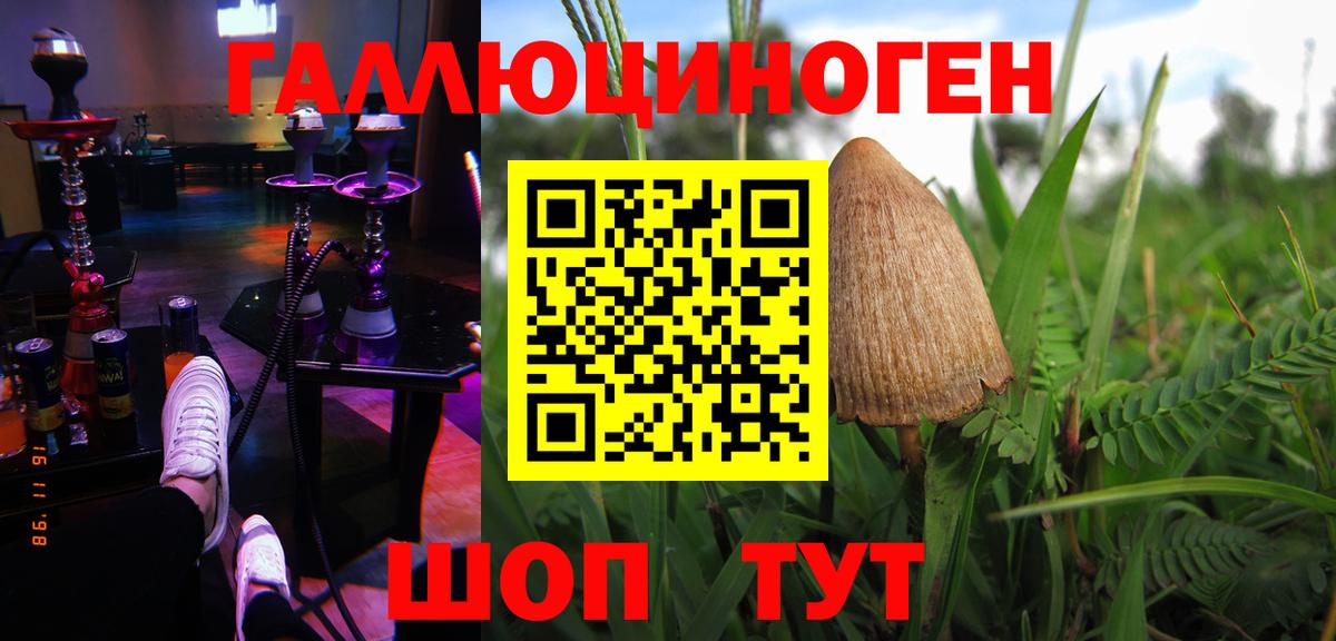 Псилоцибиновые грибы Magic Shrooms Родники