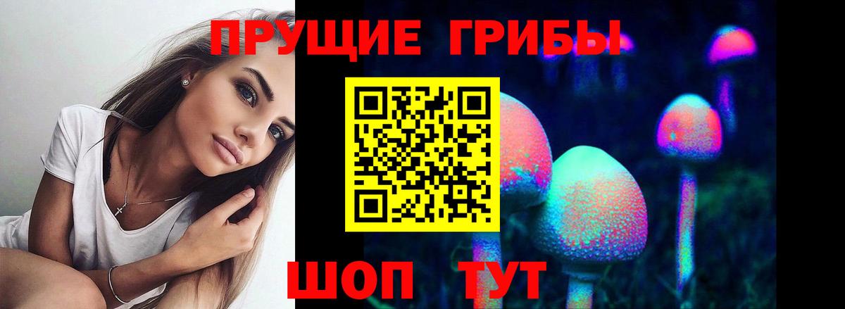 Псилоцибиновые грибы мицелий  Вход с VPN  Родники 
