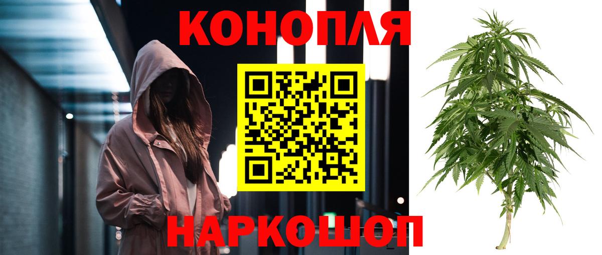 Канабис MAZAR Родники